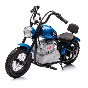 Big Kids Dirt Bike Electric 24v Racing Motorbike for Children Motorcycle