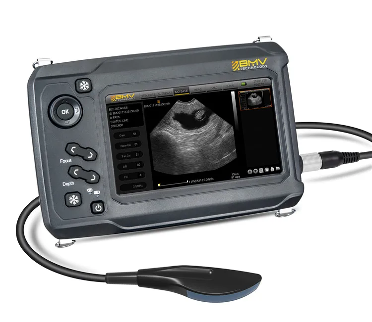 BestScan S6 Touch Handheld Veterinary Ultrasound Scanner System Veterinary Ultrasound for Large Animal Scanning