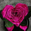 Rosa del cuore