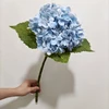 Blu 5