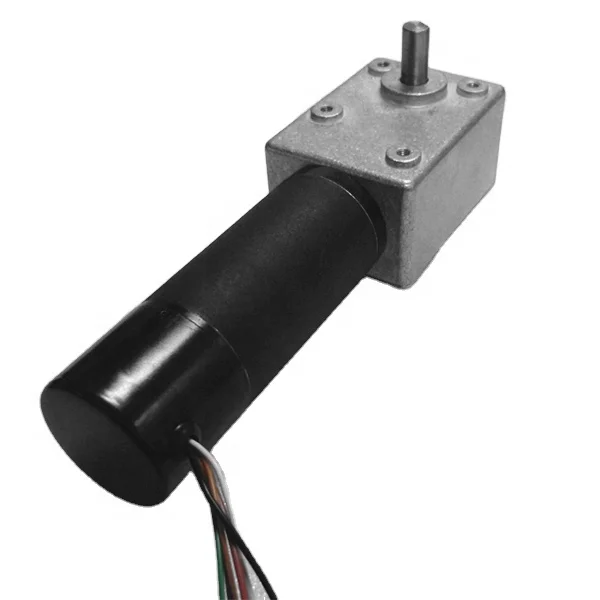 Factory Supply24v Brushless Dc Worm Gear Motor 600jsx42rbl85d Buy
