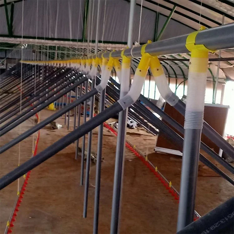 Оборудование для курятника птицефермы система подачи и питья цыплят простые кормушки
