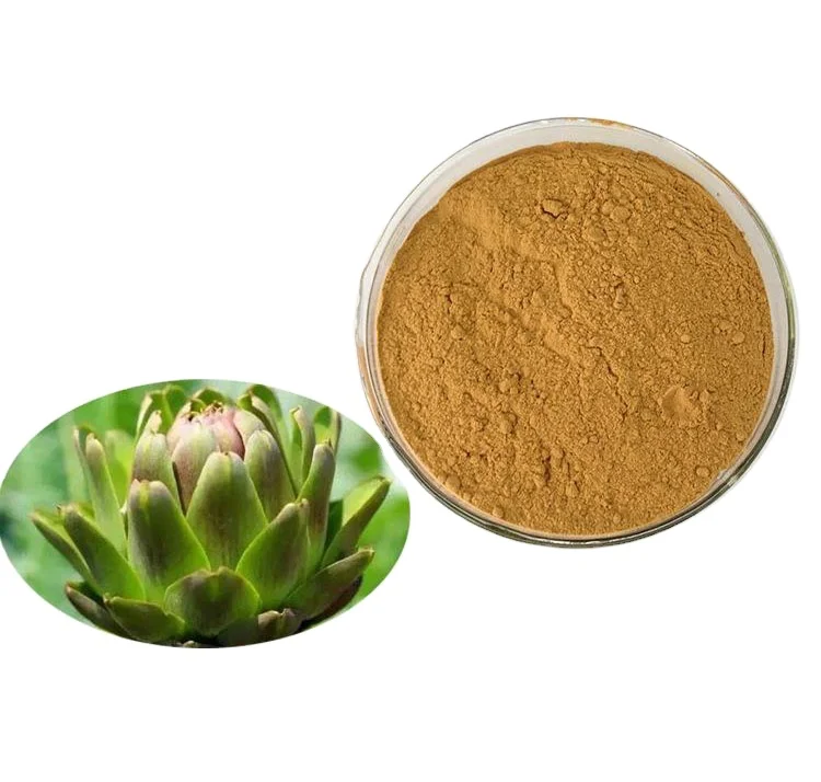 Artichoke Leaf Extract Powder benefits