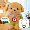 ตุ๊กตาพุดเดิ้ลฟองอากาศ Ai 40-ภายนอก