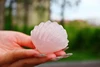 natural pink rose quartz shell no sphere