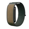 Light Green with Gray-Green