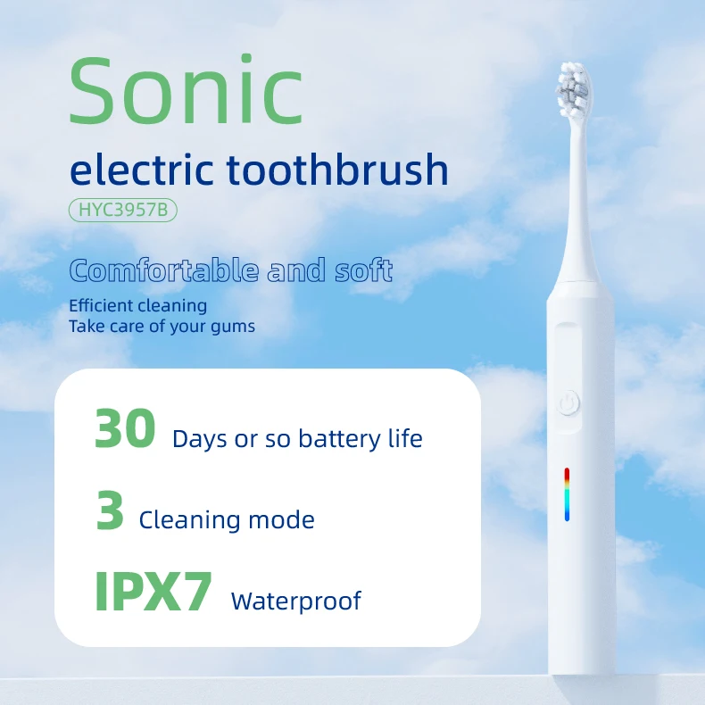 Most Popular Rechargeable Travel Electric Toothbrushes Sonic Toothbrush With 6 Soft Bristles Toothbrush Heads details