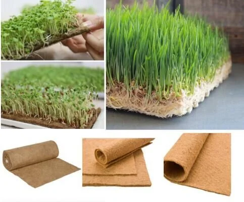 fodder system for sale