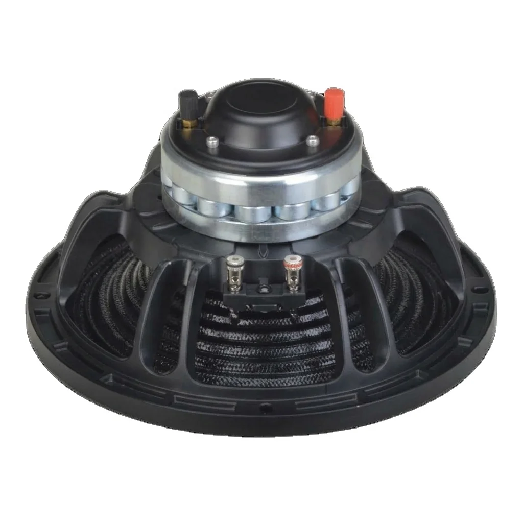 450W 10 Inch Coaxial Neodymium Carbon PA Aluminum Wire Speaker 110dB 700Hz for Yachting Outdoor Waterproof Applications