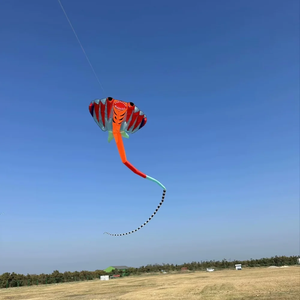 3D 12.5M 2-color Ray Soft Kite Outdoor Beach Professional Kites Umbrella Cloth Waterproof and Tear Resistant Inflatable Kite
