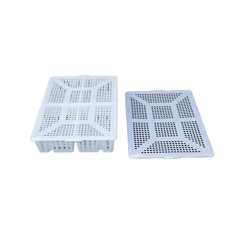 Nestsable and Stackable HDPE Plastic Day Old Chick Transport Box with 4 Compartments