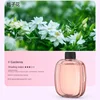 Gardenia