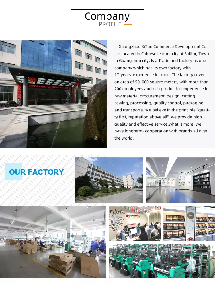 Guangzhou Evernice Technology Development Co., Ltd. - Zipper