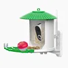 Green (Bring a honey pot and fruit fork)