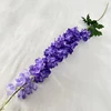 Purple blue