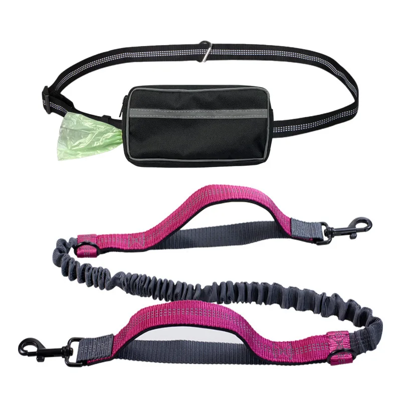 Manufacturer Custom Logo Polyester Dog Leash Set Luxury Pet Dog Leashes with waist belt supplier