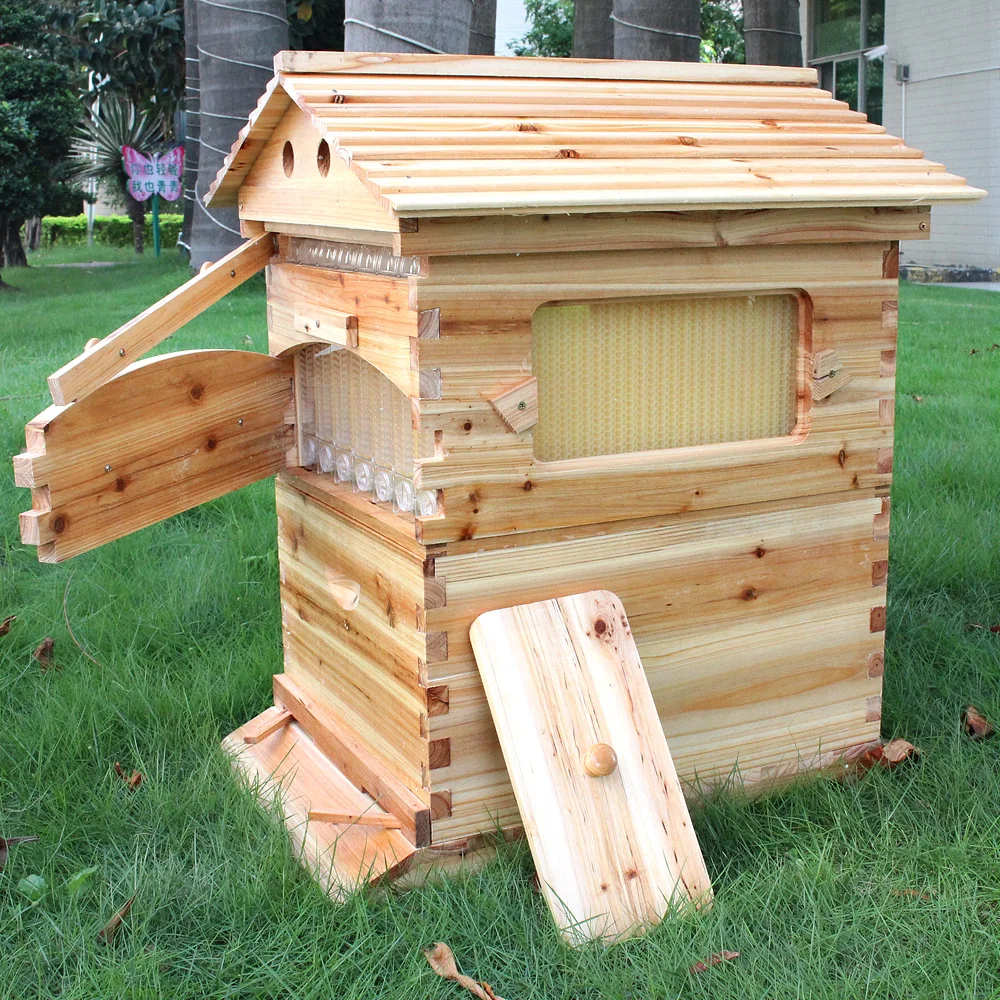 Chinese Wax-Coated Cedar Wood Automatic Self-Flowing Honey Bee Hive & 7 Auto Frames Beekeeping Equipment Tool Langstroth Beehive