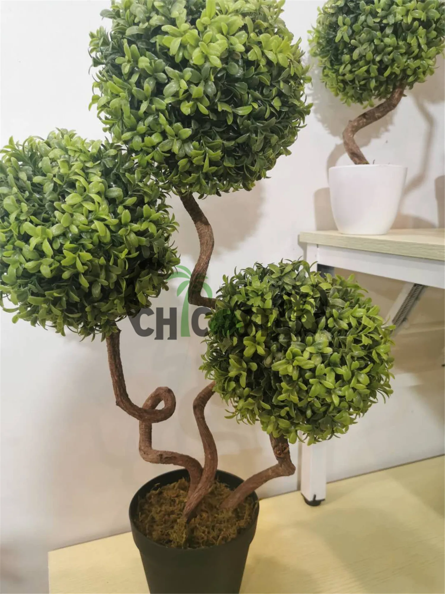 bonsai tree and kit Bonsai Tree Kit
