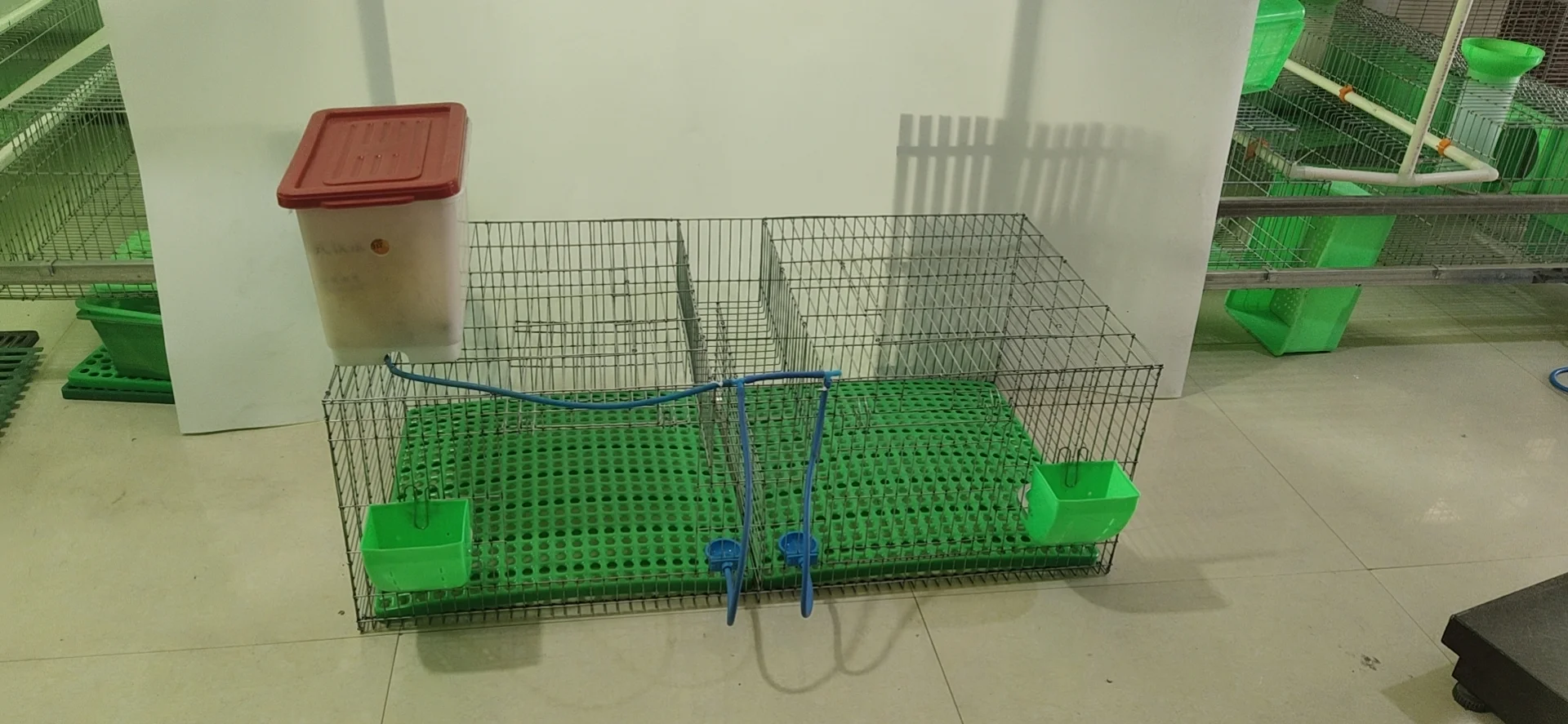 2 hole rabbit cage