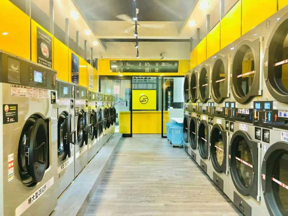 Dexter Coin Operated Washing Machine Capacity Automatic Commercial Laundry Washer Electric Gas Steam Blue Whale 220/2/50V 1.5KW