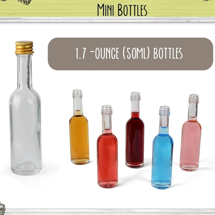24 Mini Bouteilles Réutilisables 50ml - Flacons Voyage Avec Entonnoir | Remplissage Liquide, Alcool, Cosmétiques