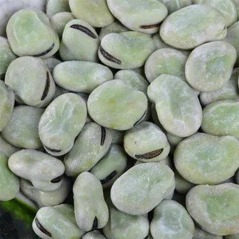 Factory Certified Quality Manufacture IQF Frozen Fava Peeled Broad Bean