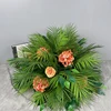 verde 1