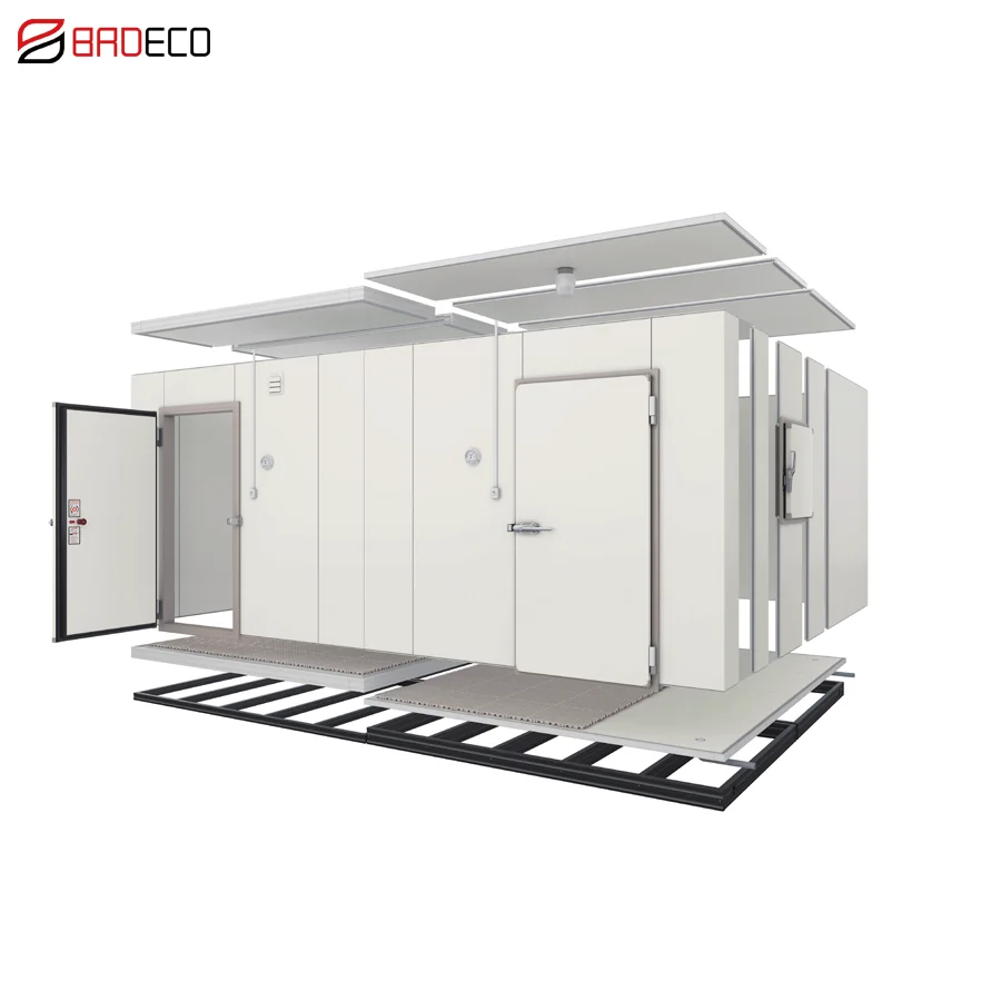 20Ft 40Ft Cold Storage Solar Container Cold Room Freezer System Cold Room Storage Price