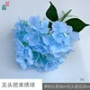 Five-headed hydrangea FX (two sets of leaves) Blue