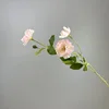 Rosa claro