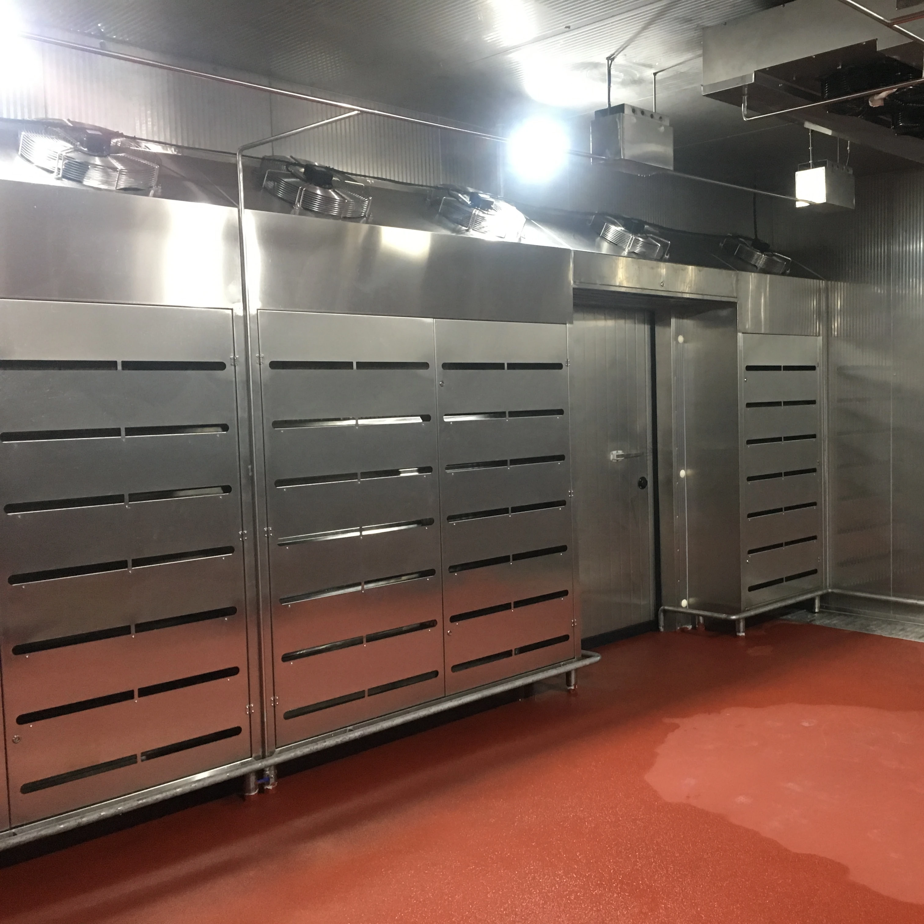 Advanced thawing chamber for frozen food processing with precise temperature and humidity control