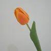 Tulipano arancione