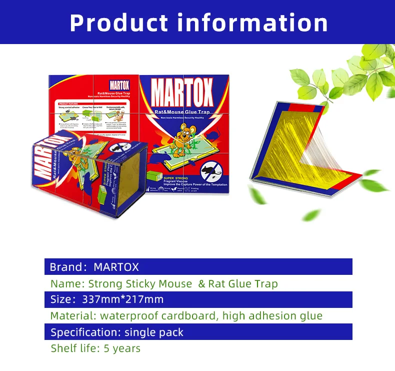 Mouse Glue Trap2.jpg