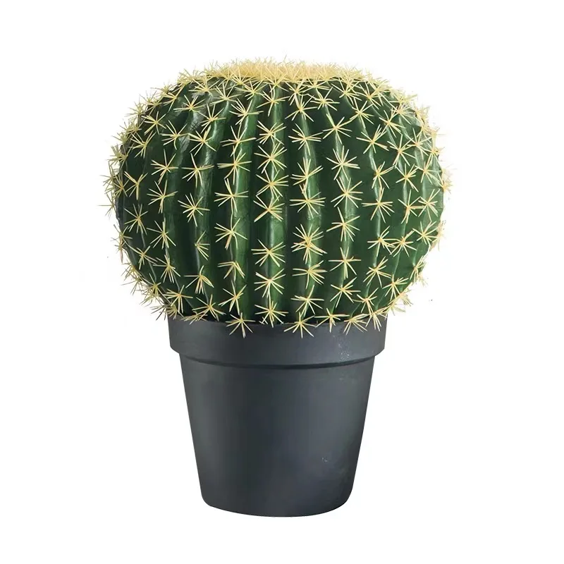 Manufacturers Wholesale Large Green Plant Floor Ornaments,Window Potted Desert Pu Cactus Buy