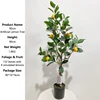Green 90cm