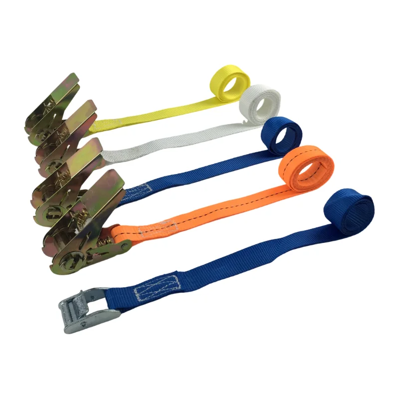 Polyester and Steel Lashing Straps with Cam Buckle 10m Snowboard Binding Ratchet Straps GS Certified
