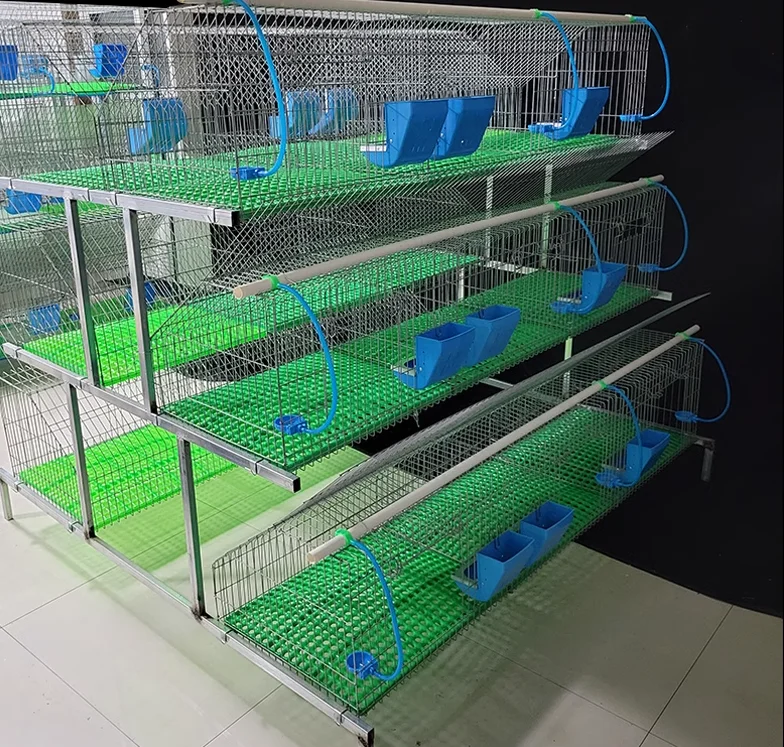 Industrial 10000 Rabbit Cage for Sale in Uganda Rabbit Cage Wire Gauge