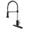 Robinets de cuisine avec plaque Noir + Chrome