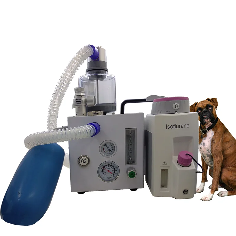 2021 Best Selling Veterinary Hospital Clinic Medical Anesthesia Machine for Animals