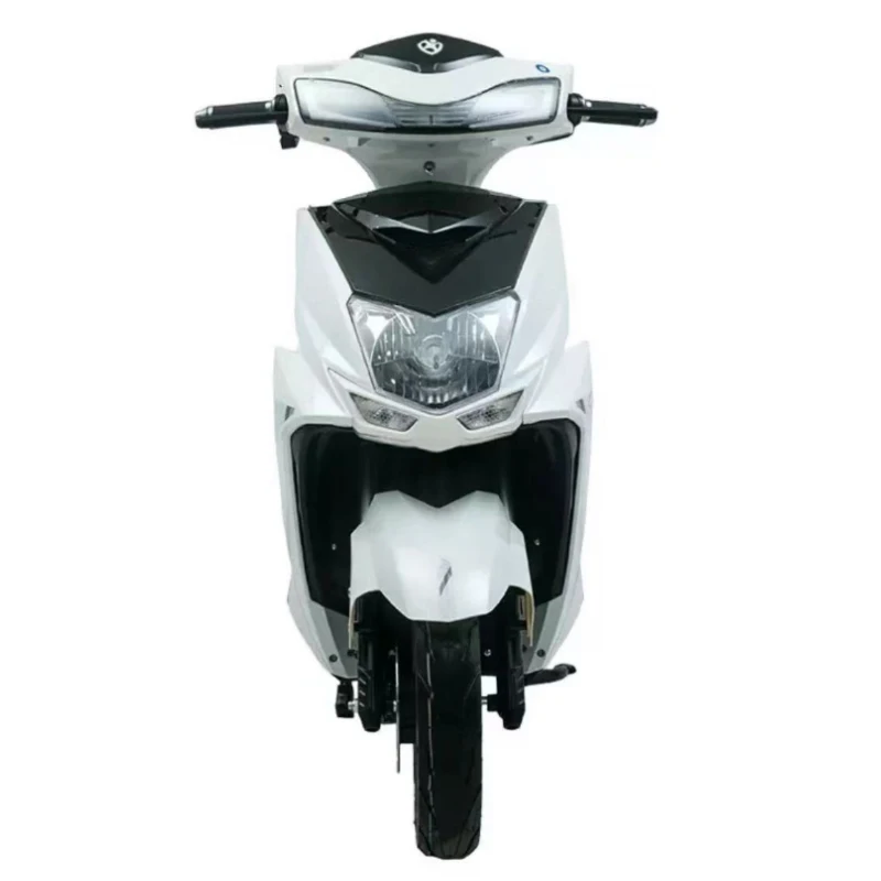 Factory Direct Cheap 1000W 60V Electric Bicycle Zhan Shen Model Two-Wheel Adult Electric Scooter 500W Motor Electronic Features