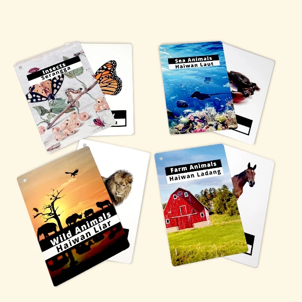 High Quality Custom Making English Animal and Plant Pattern Flash Card Wholesale Custom Print Logo Kids Educational Flashcards