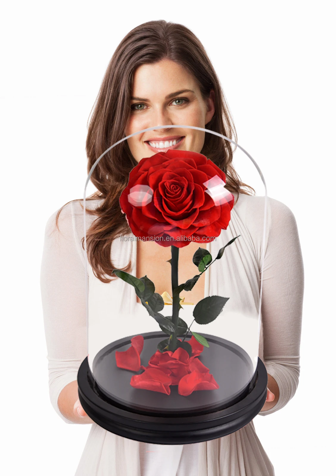 Wholesale Decorative Dried Flowers The Little Prince Real Eternal Rose