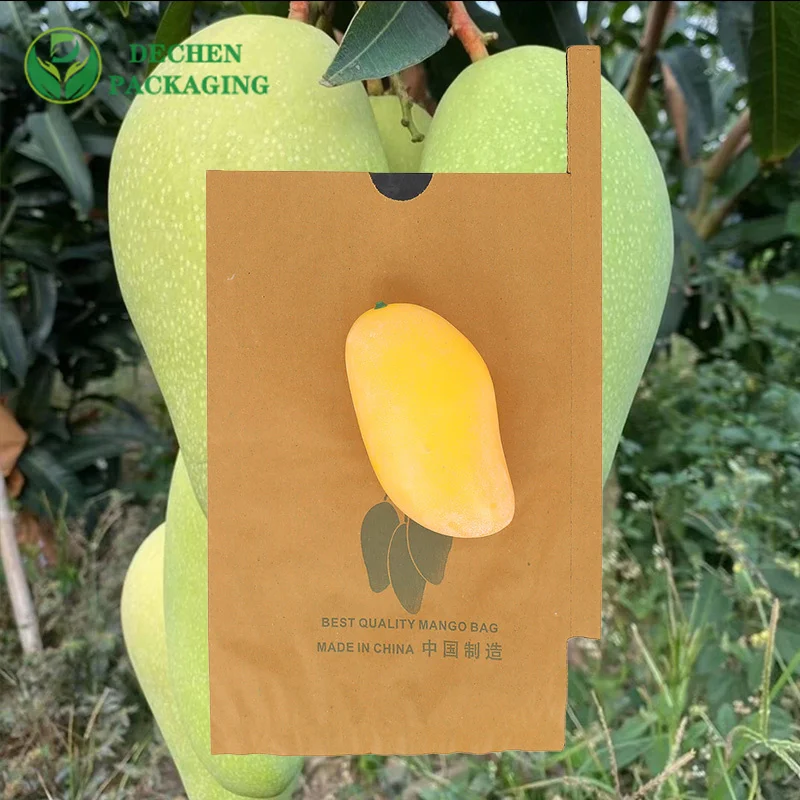 Couvre le sac de papier d'emballage de mangue écologique de fournisseur d'usine