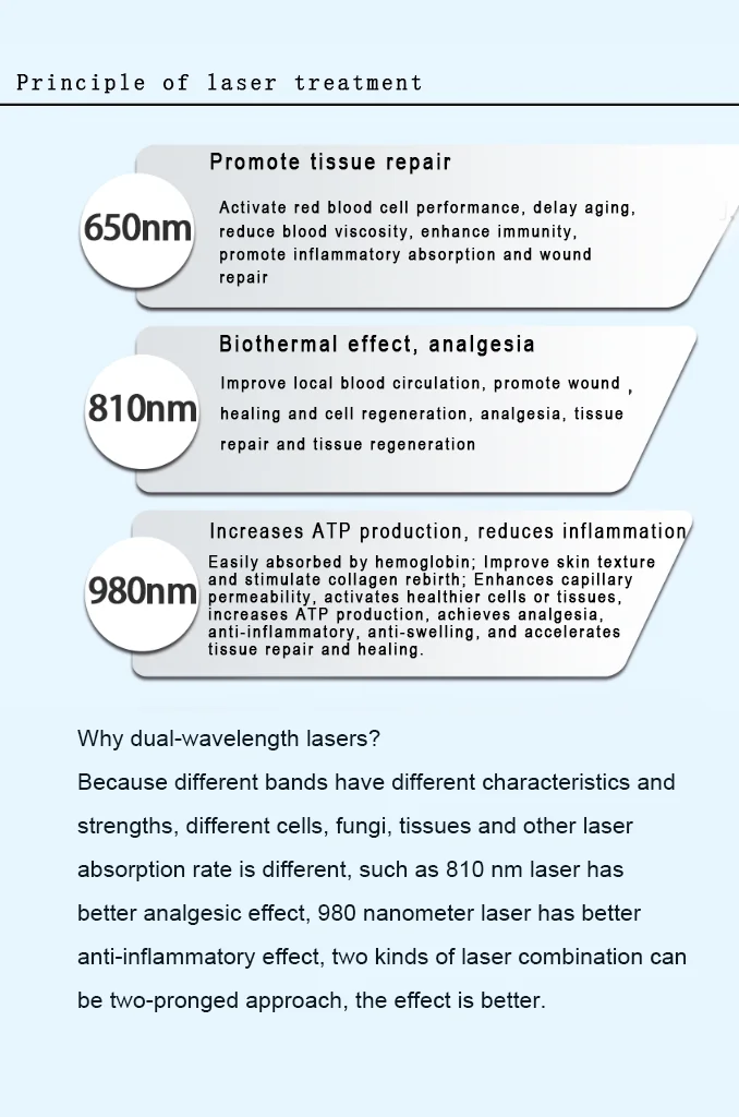 Fornecimento de fábrica de fisioterapia a laser 980 nm 810 nm para alívio da dor no ombro, joelho, redução da dor corporal, dispositivo de laser de diodo