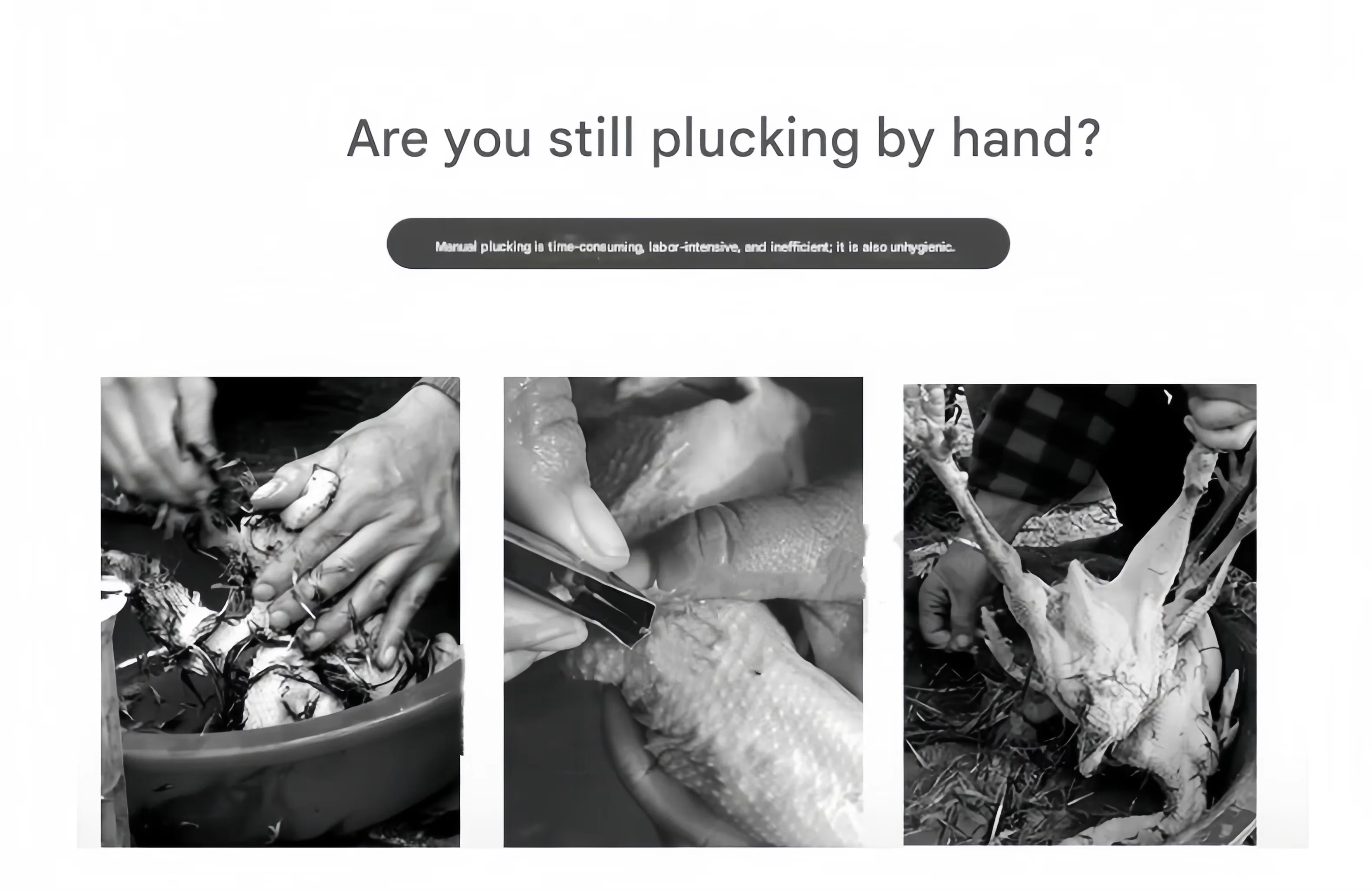 product-1-1 product-1-1