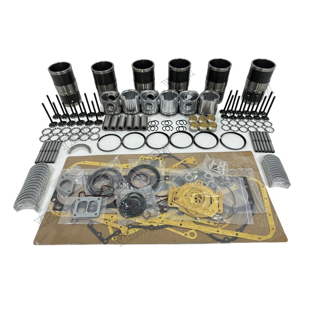 Wholesale Overhaul Rebuild Kit for Iveco for Iseki for German for Mann for Dynapac for Alpha for JCB for JAC Repair Kit