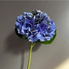 Blue Purple