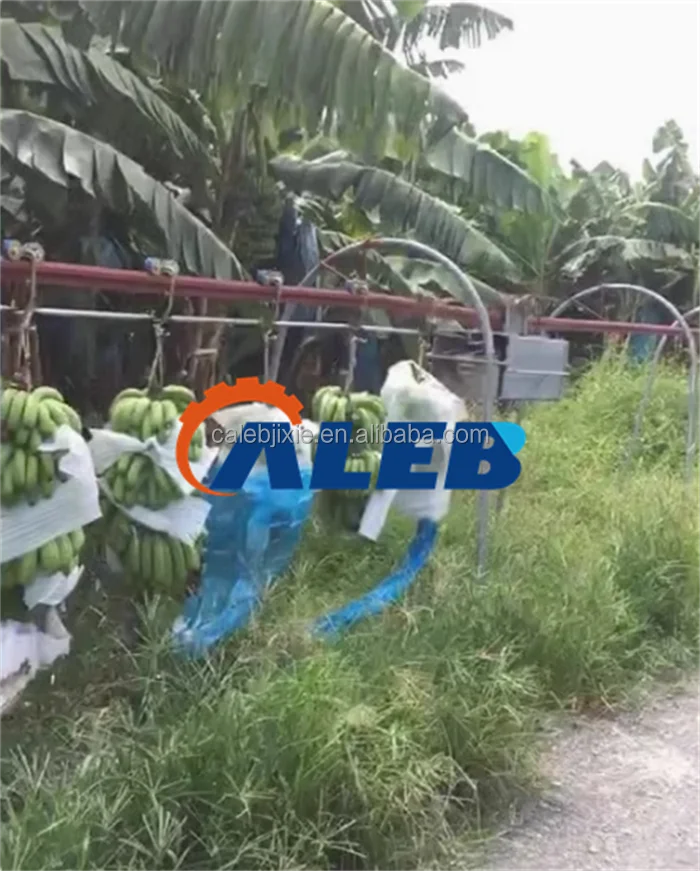 High Productivity Banana Rail Conveyor - Ropeway Transport