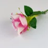 Rosa y blanco