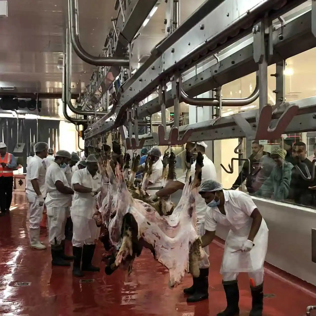 Complete mutton processing and sheep slaughterhouse solutions including cold storage and freezing facilities